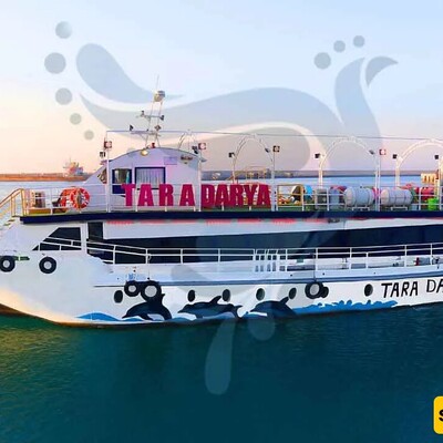 4 Best Luxury Cruise Ships in Qeshm 🚤🚤