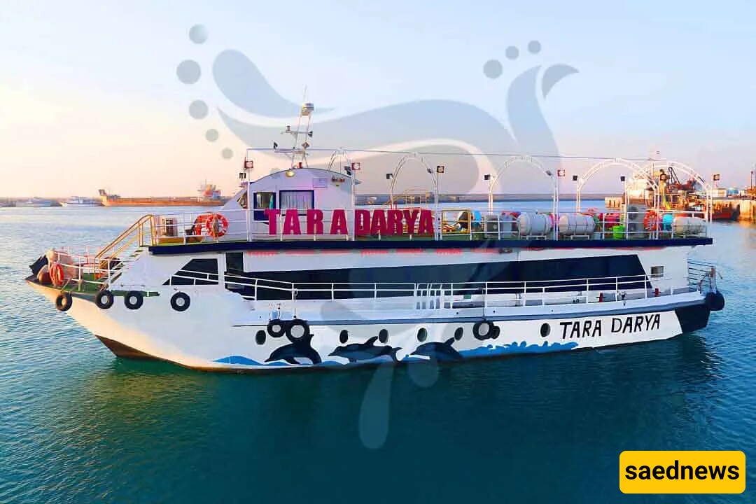 4 Best Luxury Cruise Ships in Qeshm 🚤🚤