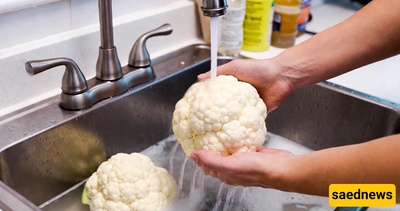 Best and Most Reliable Method for Washing Cauliflower at Home