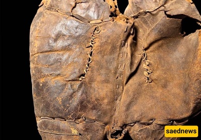 Who Owned the Oldest Saddle Ever Discovered in the World?