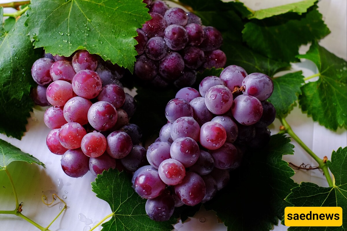 Grapes