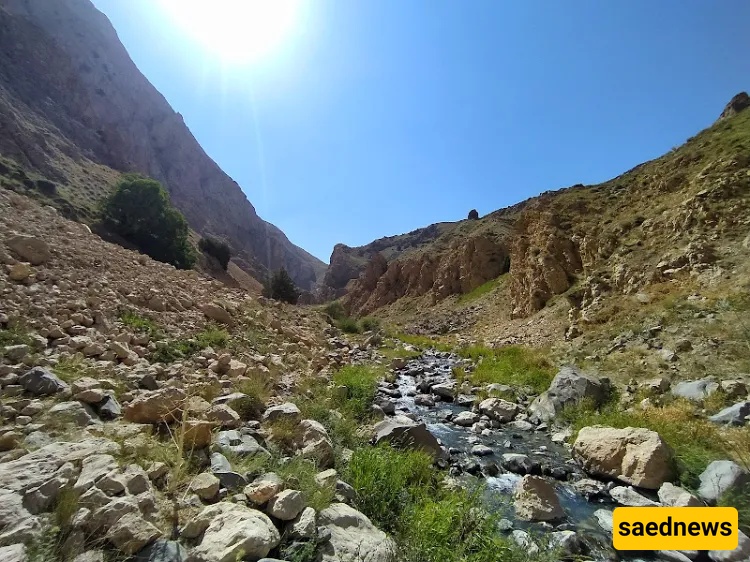 Zaman valley
