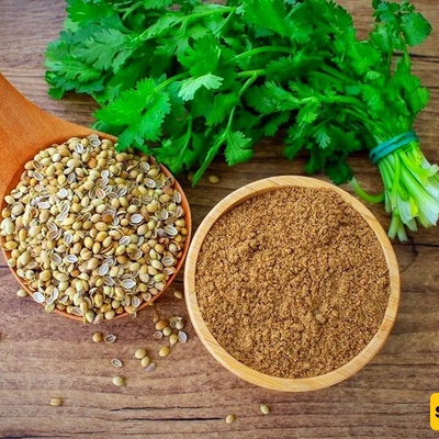 Coriander: All Benefits and Side Effects of Coriander, Coriander Distillate, Coriander Seeds, and Coriander Water