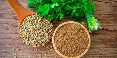 Coriander: All Benefits and Side Effects of Coriander, Coriander Distillate, Coriander Seeds, and Coriander Water