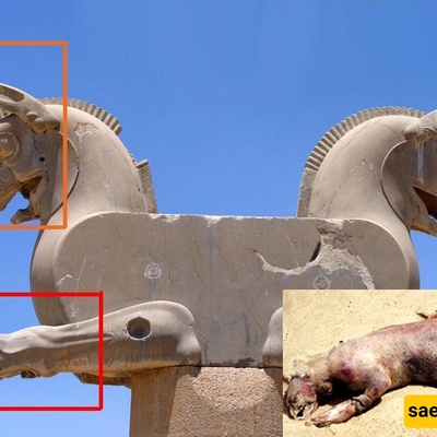 Let’s Remember the Strange Animal Resembling Persepolis’ Famous Statues: The Lion-Dog + Photo