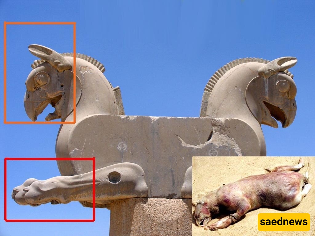 Let’s Remember the Strange Animal Resembling Persepolis’ Famous Statues: The Lion-Dog + Photo