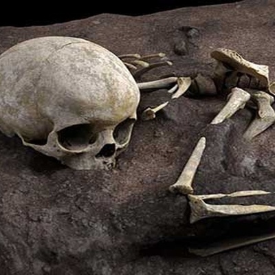 Mass Grave Containing Child’s Remains Discovered Alongside Hundreds of Dogs
