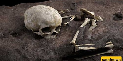Mass Grave Containing Child’s Remains Discovered Alongside Hundreds of Dogs