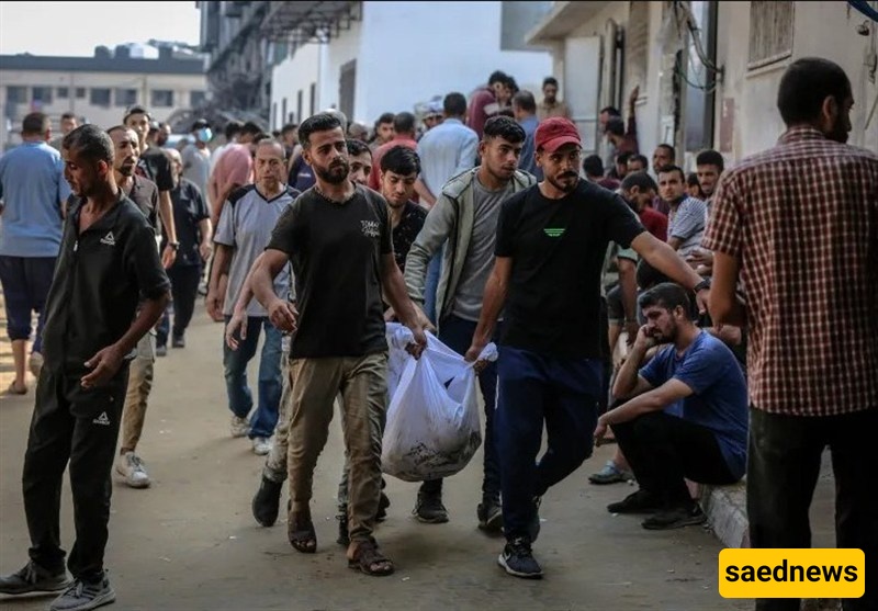 Seven Aid Seekers Among 21 Palestinians Killed in Gaza since Dawn