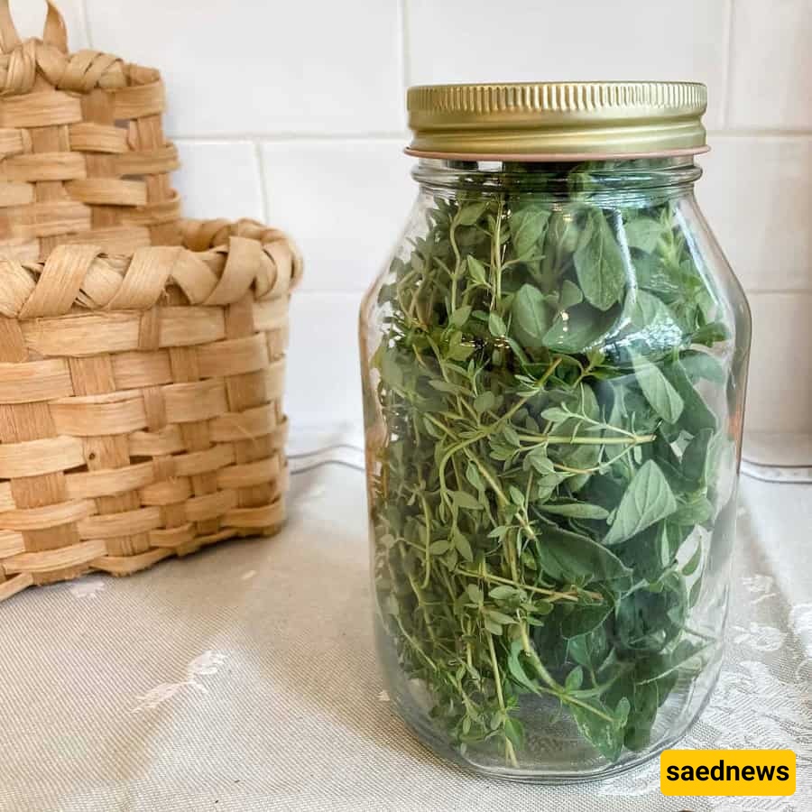 fresh herbs
