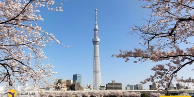 Tokyo Skytree: The World’s Tallest Broadcasting Tower