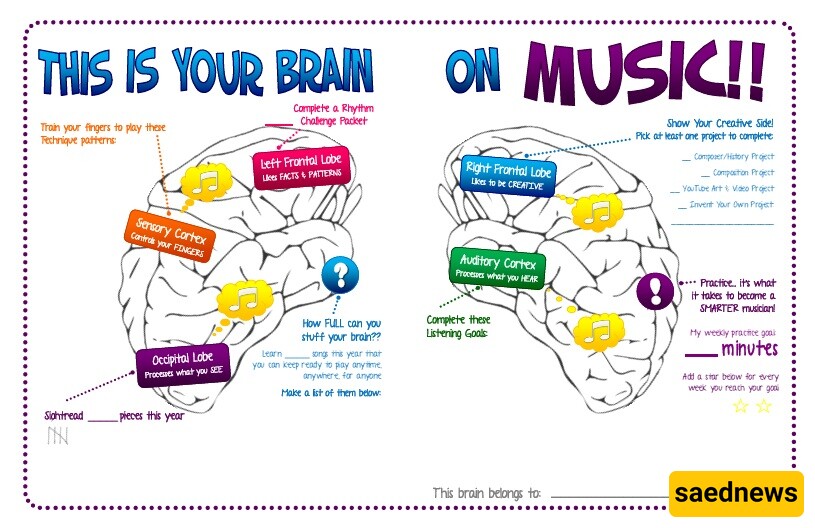 brain on music