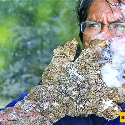Bizarre Half-Human, Half-Tree Creature Discovered—Subhan Allah! [Images]