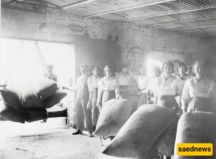 Women During WWI
