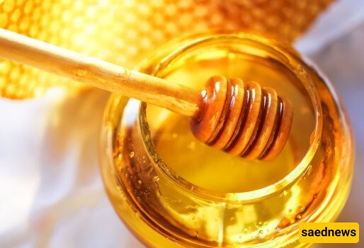 Honey’s Eternal Shelf Life: Nature’s Sweet Wonder