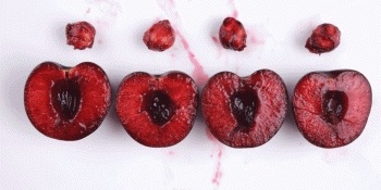 3 Great Tricks to Remove Cherry Pits Without a Pitter