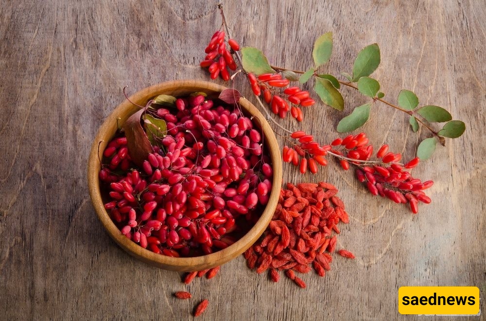 barberries