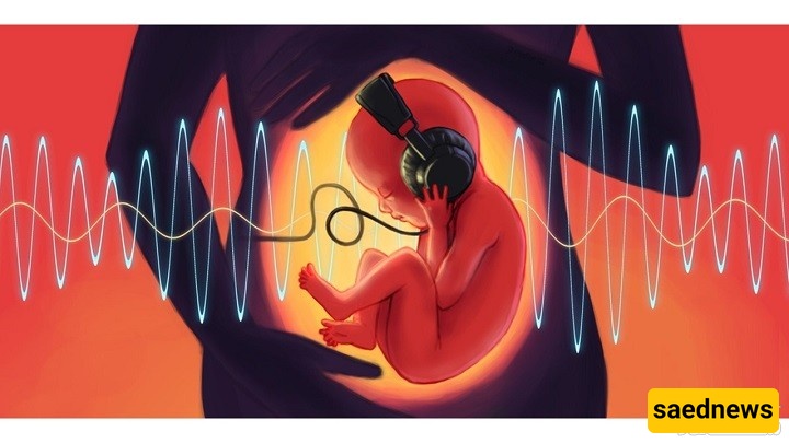 What Effect Does Music Have On a Baby’s Intelligence During Pregnancy?
