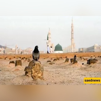 Why Lady Fāṭimah’s Grave Was Hidden — The Secret Burial That Became a Protest