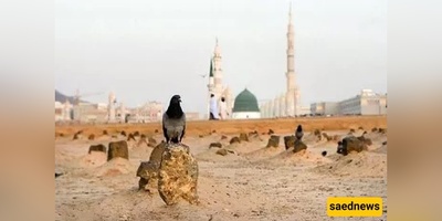 Why Lady Fāṭimah’s Grave Was Hidden — The Secret Burial That Became a Protest
