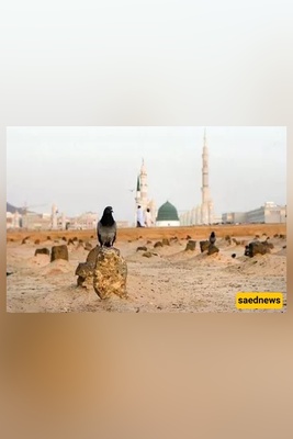 Why Lady Fāṭimah’s Grave Was Hidden — The Secret Burial That Became a Protest