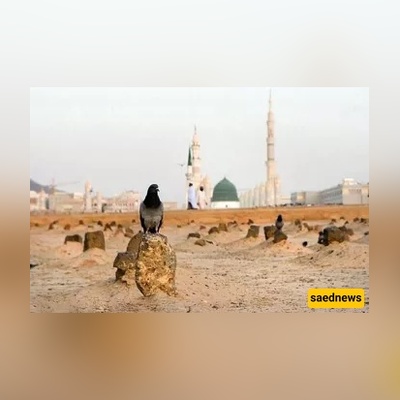 Why Lady Fāṭimah’s Grave Was Hidden — The Secret Burial That Became a Protest