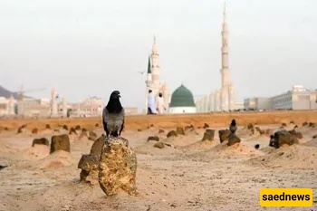 Why Lady Fāṭimah’s Grave Was Hidden — The Secret Burial That Became a Protest