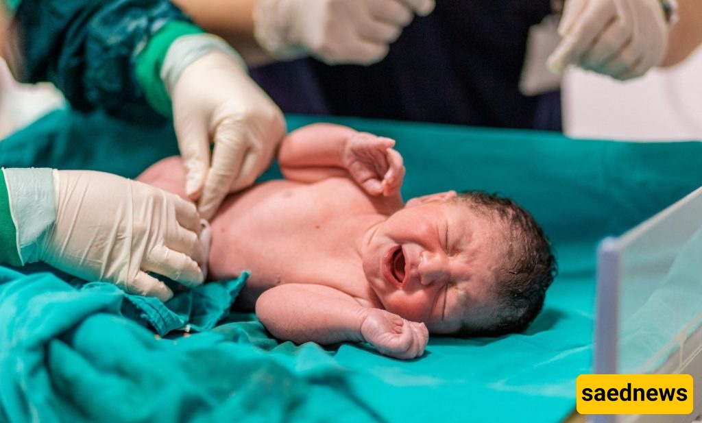 Americans Prioritize Childcare Costs and Maternal Health Over Pro‑Birth Policies, Poll Finds