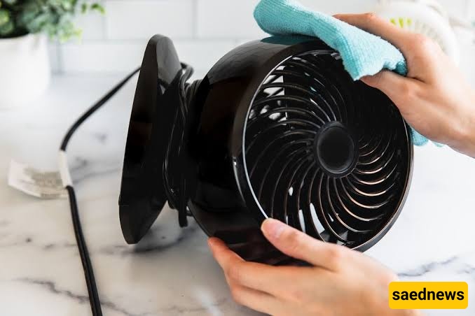fan