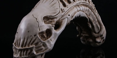 A Mysterious Alien Man’s Skull Found in Iran; Could This Be Evidence of Extraterrestrial Life?! + Photo