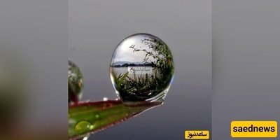 What Happens If You Drop Just One Drop of Water on Each Planet? / Only Mercury Will Explode Like a Nuclear Bomb! 😂
