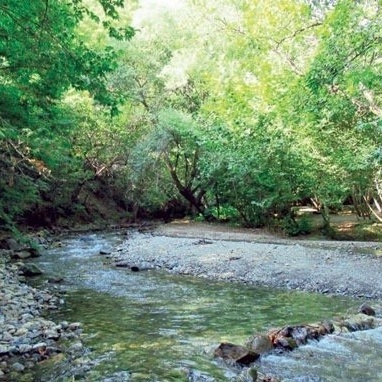 Siban Darreh Village in Alborz Province: A Hidden Gem of Natural Beauty and Authentic Culture
