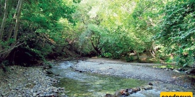 Siban Darreh Village in Alborz Province: A Hidden Gem of Natural Beauty and Authentic Culture