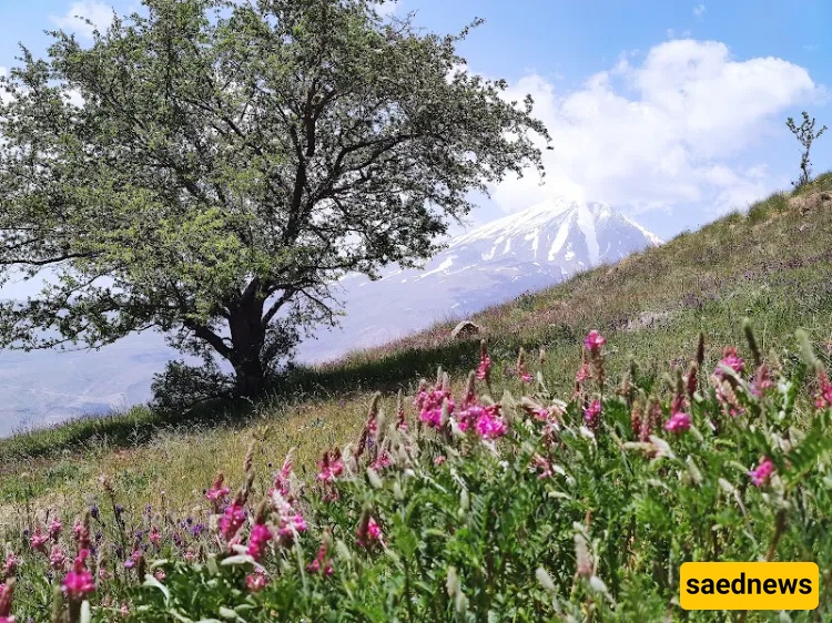 Zaman valley