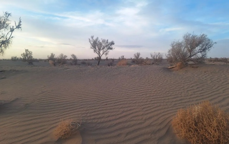 Abuzeydabad Desert