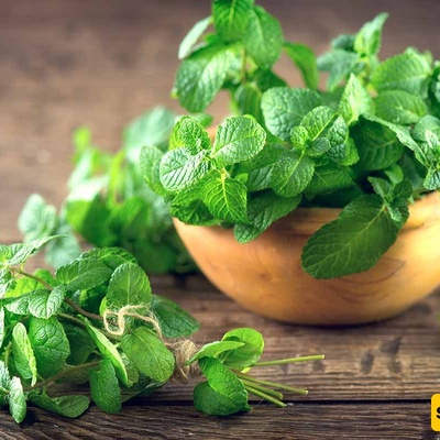 The Most Important Benefits Of Mint
