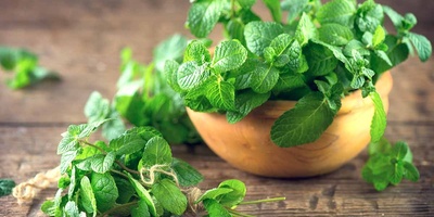 The Most Important Benefits Of Mint