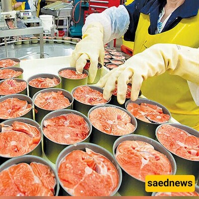 Iran Opens Largest Canned Fish Factory in Makran