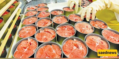 Iran Opens Largest Canned Fish Factory in Makran