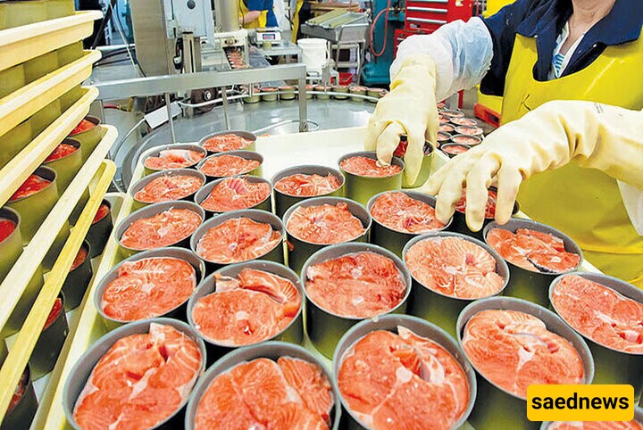 Iran Opens Largest Canned Fish Factory in Makran