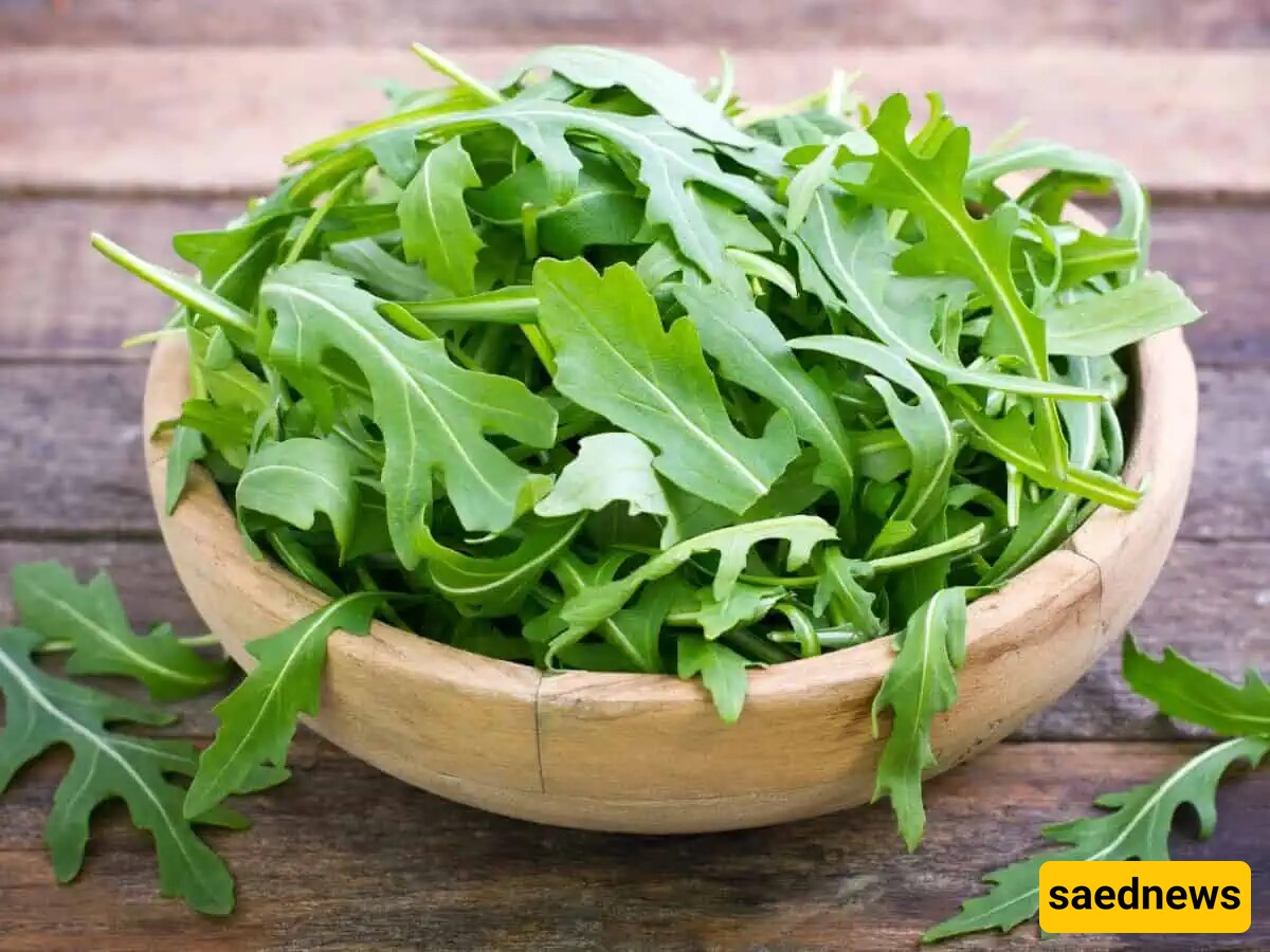 Everything You Need to Know About Arugula