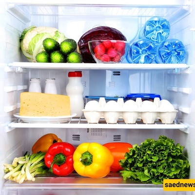 Where Should You Put Food in the Refrigerator to Keep It Fresh Longer?