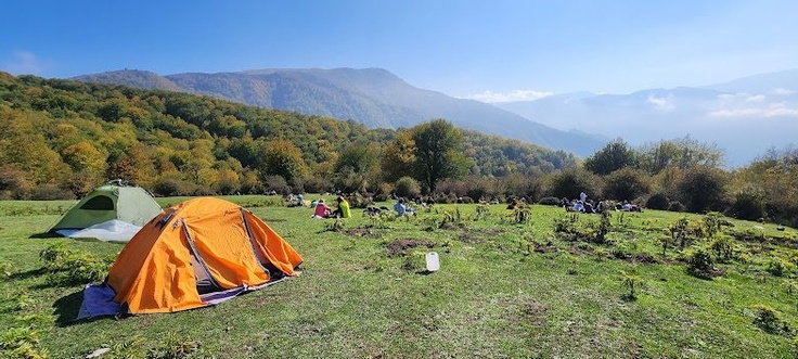 Alimestan Forest