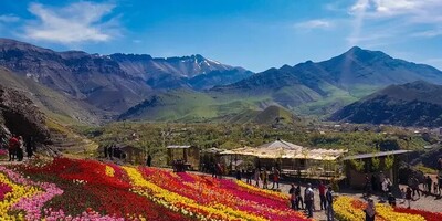 A Dreamy Trip to 5 Flower Plains Near Tehran, Perfect for a Weekend Getaway – From a Legendary Paradise Near Karaj to Breathtaking Beauty You Won’t Believe Is Real!