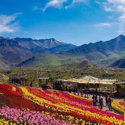 A Dreamy Trip to 5 Flower Plains Near Tehran, Perfect for a Weekend Getaway – From a Legendary Paradise Near Karaj to Breathtaking Beauty You Won’t Believe Is Real!