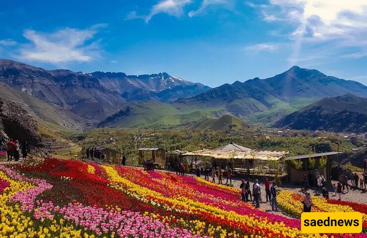 A Dreamy Trip to 5 Flower Plains Near Tehran, Perfect for a Weekend Getaway – From a Legendary Paradise Near Karaj to Breathtaking Beauty You Won’t Believe Is Real!