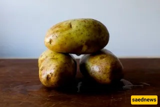 Best fried potato recipe