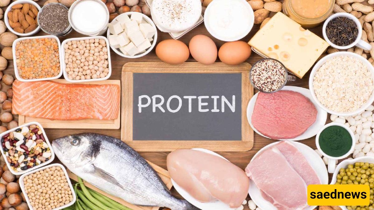 Protein-Rich Foods 