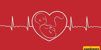 How to Hear Your Baby’s Heartbeat