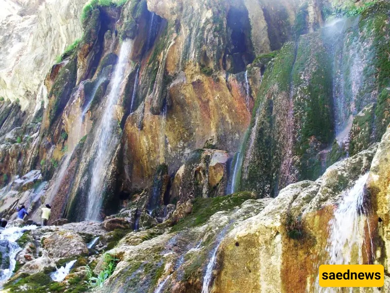 Shiraz Nature